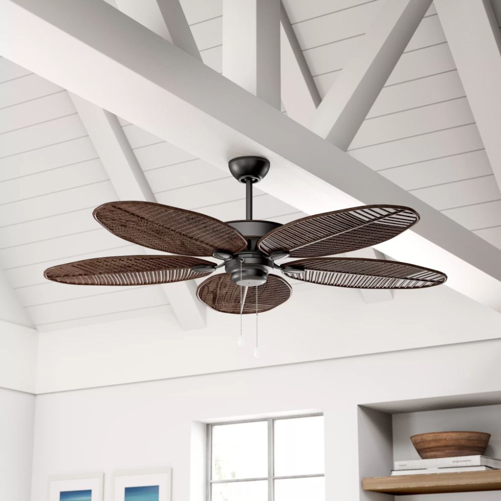 Ceiling Fan